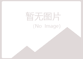 平顶山问雁水泥有限公司